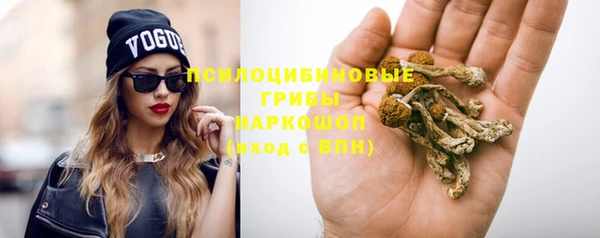 каннабис Абаза