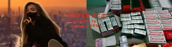 ПСИЛОЦИБИНОВЫЕ ГРИБЫ Абинск